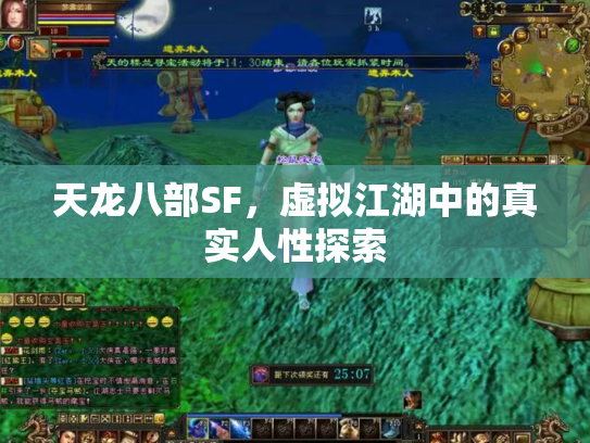 天龙八部SF，虚拟江湖中的真实人性探索