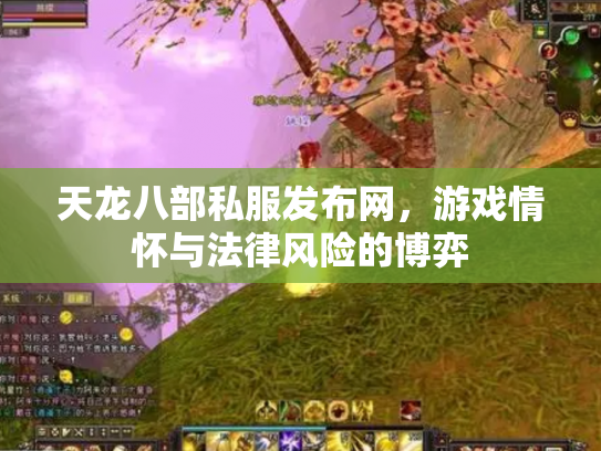 天龙八部私服发布网，游戏情怀与法律风险的博弈