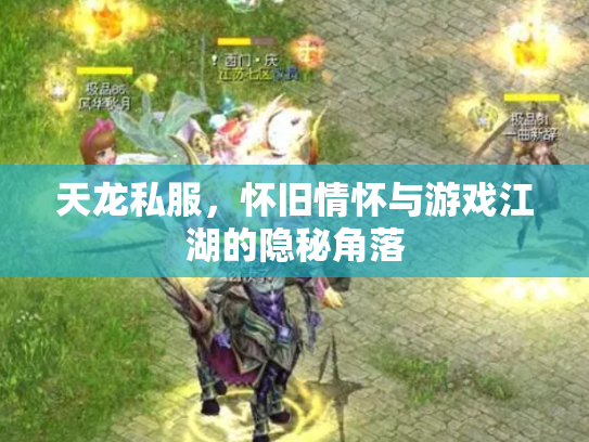 天龙私服，怀旧情怀与游戏江湖的隐秘角落