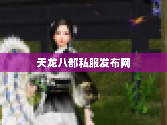 天龙八部私服发布网