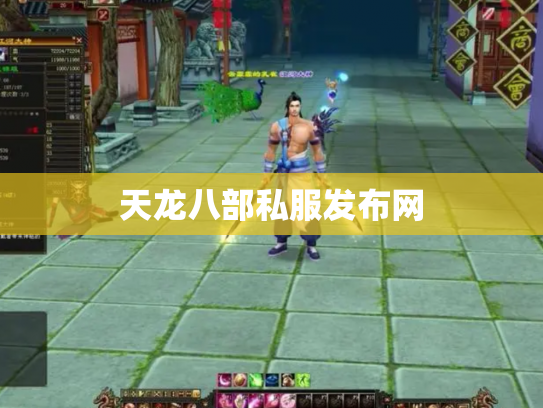 天龙八部私服发布网