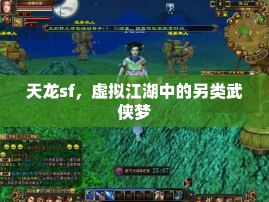 天龙sf，虚拟江湖中的另类武侠梦