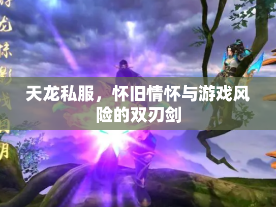 天龙私服，怀旧情怀与游戏风险的双刃剑