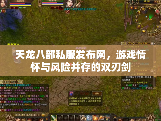 天龙八部私服发布网，游戏情怀与风险并存的双刃剑