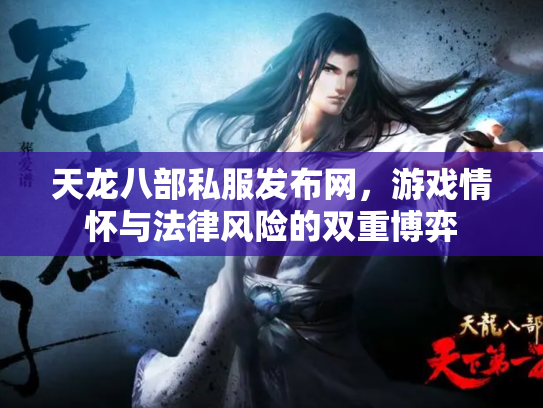 天龙八部私服发布网，游戏情怀与法律风险的双重博弈