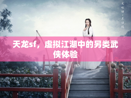 天龙sf，虚拟江湖中的另类武侠体验