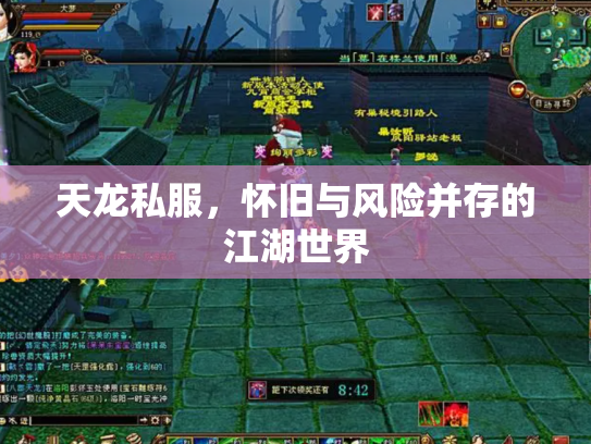 天龙私服，怀旧与风险并存的江湖世界