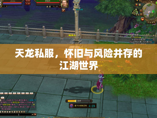 天龙私服，怀旧与风险并存的江湖世界