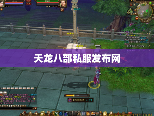 天龙八部私服发布网
