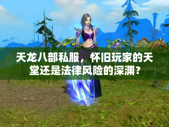 天龙八部私服，怀旧玩家的天堂还是法律风险的深渊？