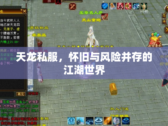 天龙私服，怀旧与风险并存的江湖世界