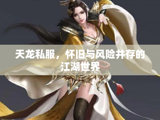 天龙私服，怀旧与风险并存的江湖世界