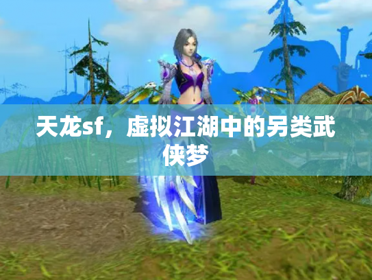 天龙sf，虚拟江湖中的另类武侠梦