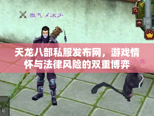 天龙八部私服发布网，游戏情怀与法律风险的双重博弈