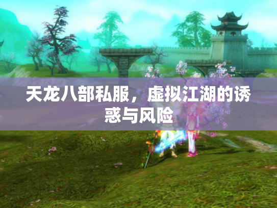 天龙八部私服，虚拟江湖的诱惑与风险