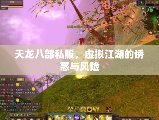 天龙八部私服，虚拟江湖的诱惑与风险