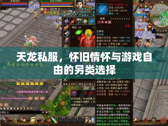 天龙私服，怀旧情怀与游戏自由的另类选择