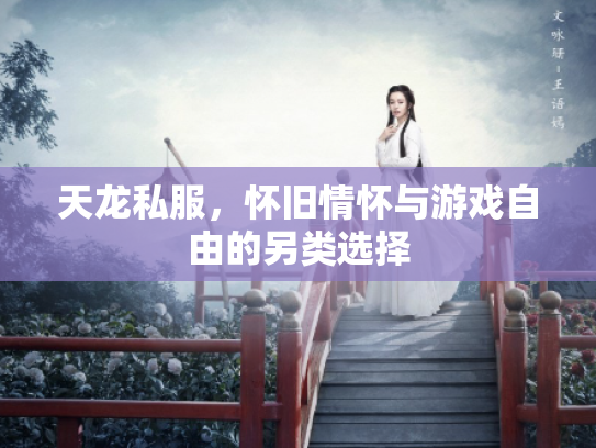 天龙私服，怀旧情怀与游戏自由的另类选择