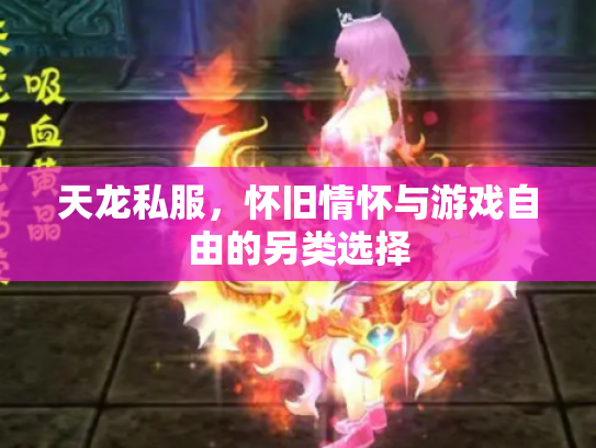 天龙私服，怀旧情怀与游戏自由的另类选择