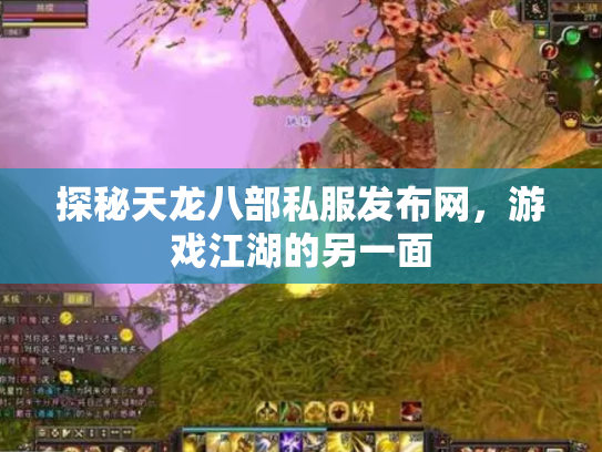 探秘天龙八部私服发布网，游戏江湖的另一面