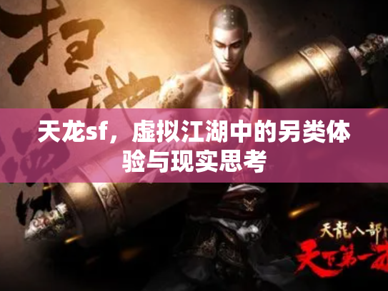 天龙sf，虚拟江湖中的另类体验与现实思考