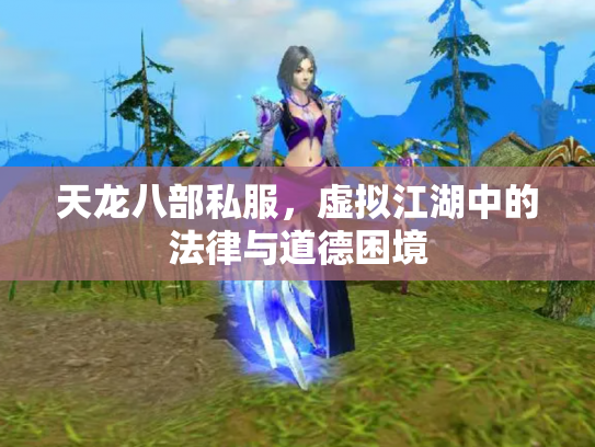 天龙八部私服，虚拟江湖中的法律与道德困境