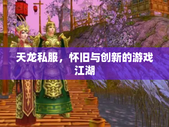 天龙私服，怀旧与创新的游戏江湖