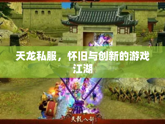 天龙私服，怀旧与创新的游戏江湖