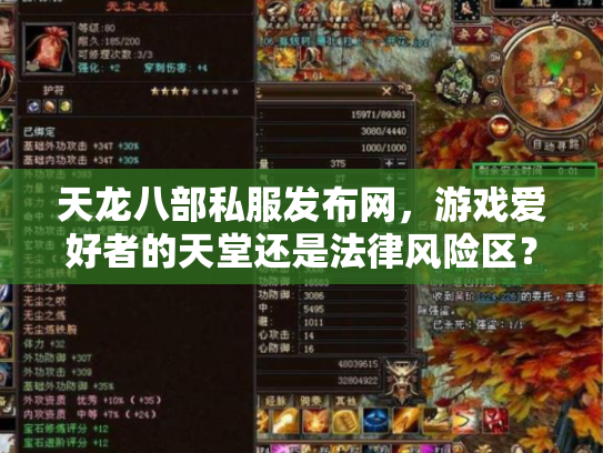 天龙八部私服发布网，游戏爱好者的天堂还是法律风险区？