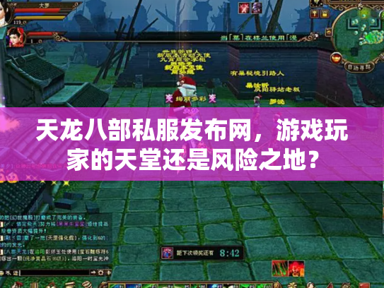 天龙八部私服发布网，游戏玩家的天堂还是风险之地？