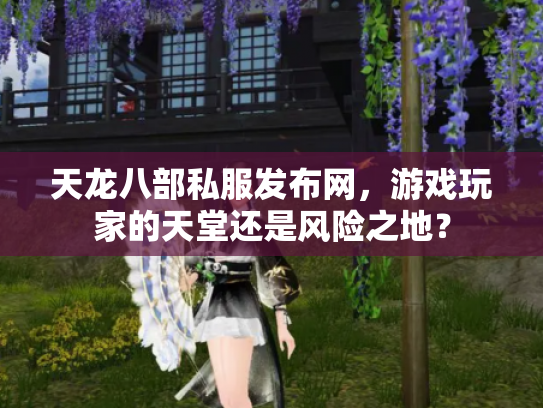 天龙八部私服发布网，游戏玩家的天堂还是风险之地？