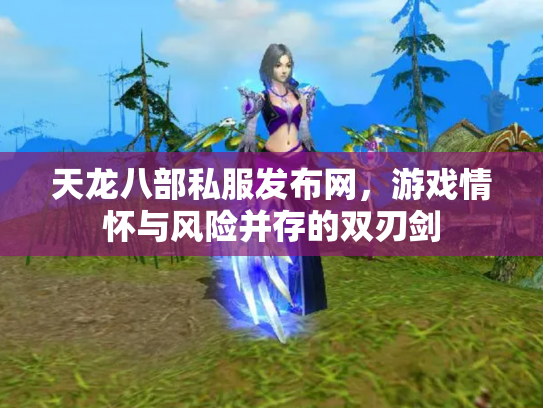 天龙八部私服发布网，游戏情怀与风险并存的双刃剑