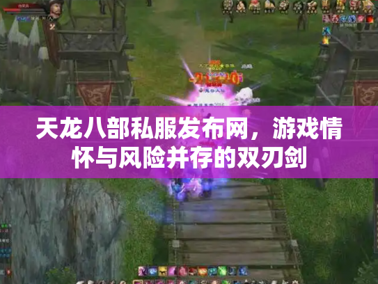 天龙八部私服发布网，游戏情怀与风险并存的双刃剑