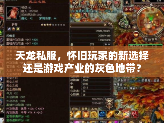 天龙私服，怀旧玩家的新选择还是游戏产业的灰色地带？