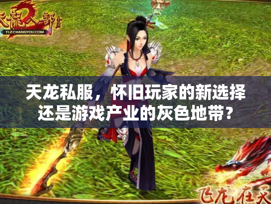 天龙私服，怀旧玩家的新选择还是游戏产业的灰色地带？