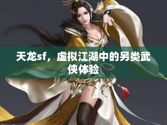 天龙sf，虚拟江湖中的另类武侠体验