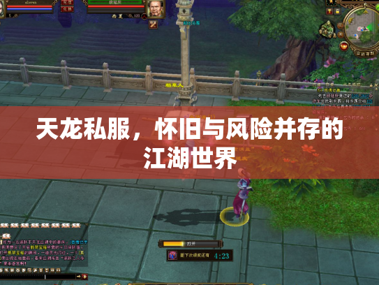 天龙私服，怀旧与风险并存的江湖世界
