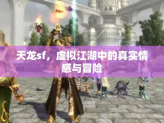 天龙sf，虚拟江湖中的真实情感与冒险