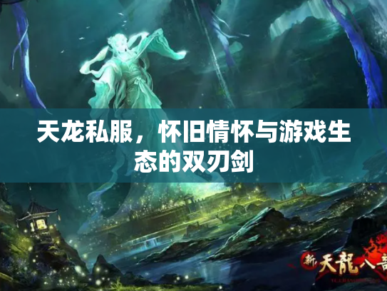 天龙私服，怀旧情怀与游戏生态的双刃剑