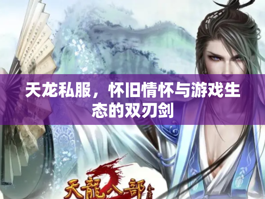 天龙私服，怀旧情怀与游戏生态的双刃剑