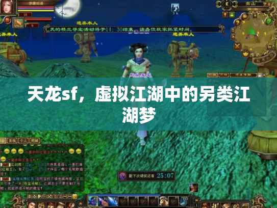 天龙sf，虚拟江湖中的另类江湖梦