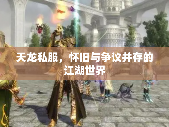 天龙私服，怀旧与争议并存的江湖世界