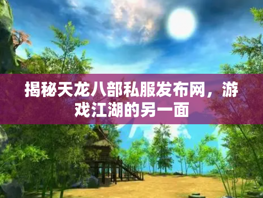 揭秘天龙八部私服发布网，游戏江湖的另一面