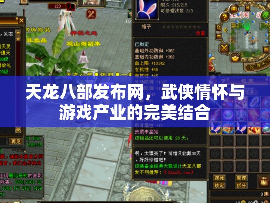 天龙八部发布网，武侠情怀与游戏产业的完美结合