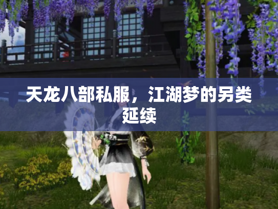 天龙八部私服，江湖梦的另类延续