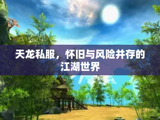 天龙私服，怀旧与风险并存的江湖世界