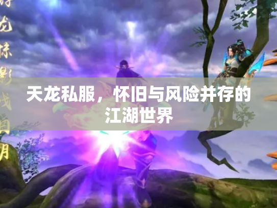 天龙私服，怀旧与风险并存的江湖世界