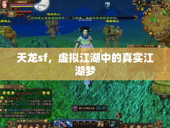 天龙sf，虚拟江湖中的真实江湖梦