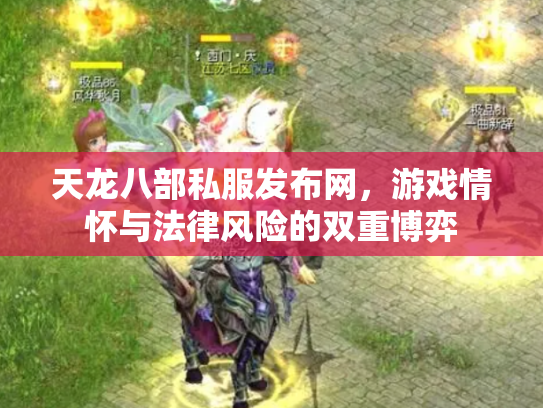 天龙八部私服发布网，游戏情怀与法律风险的双重博弈