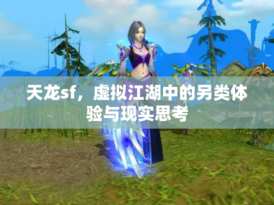 天龙sf，虚拟江湖中的另类体验与现实思考